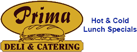 Website Logo